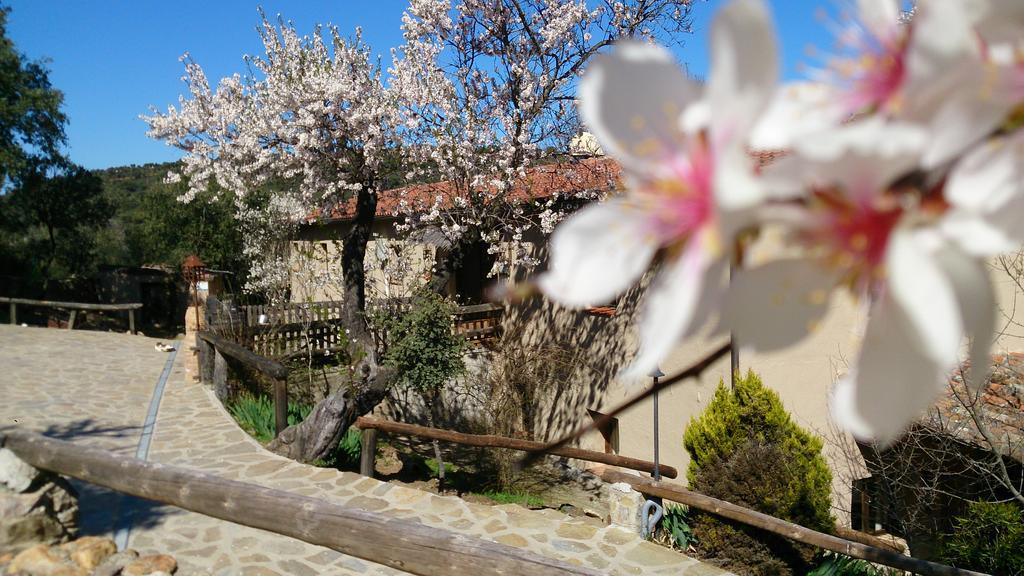 Valdolazaro Guest House Los Navalucillos Bagian luar foto